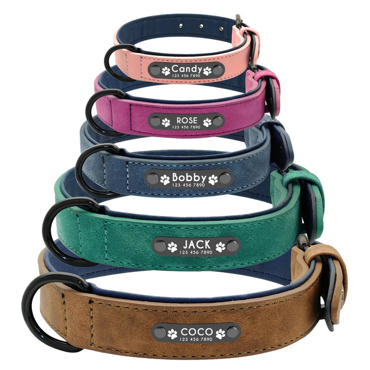 Personalized Engraved Dog Collar and Leash Leather Padded