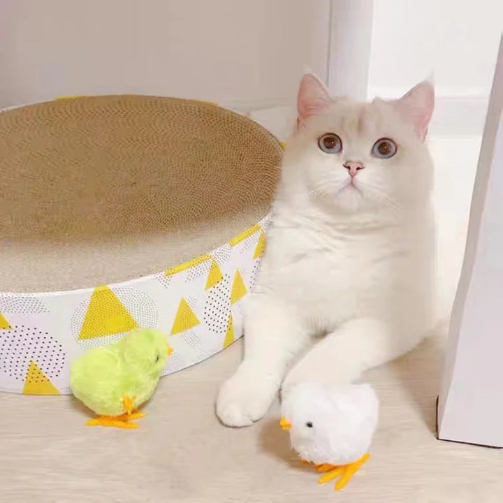 Jumping Chicken Interactive Cat Toy