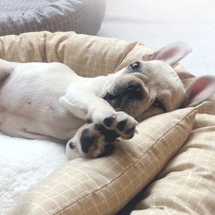 Round Bed Comfortable with Pillow