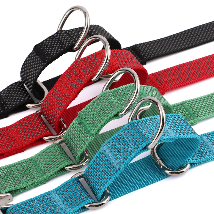 Reflective Nylon Dog Collar With Adjustable Handle