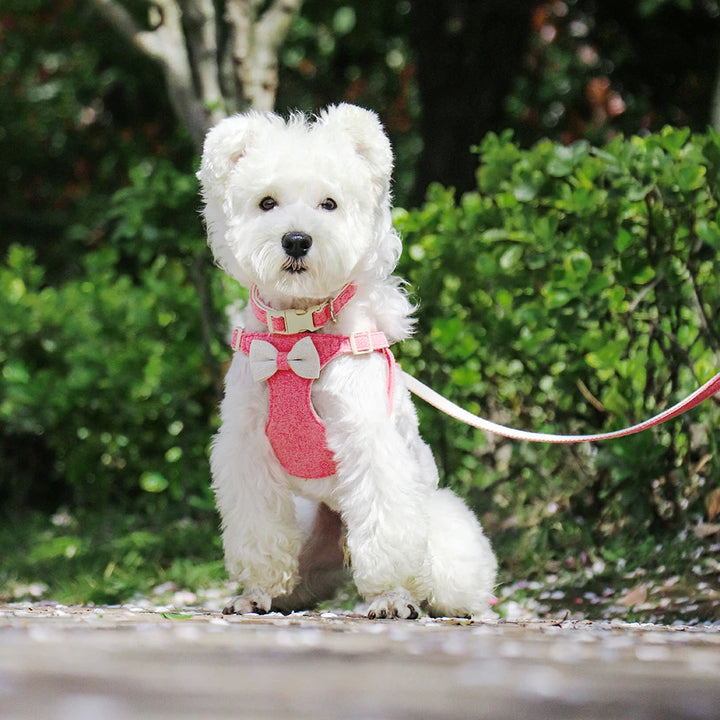 Cute Adjustable Bowtie Dog Harness, Collar & Leash Set