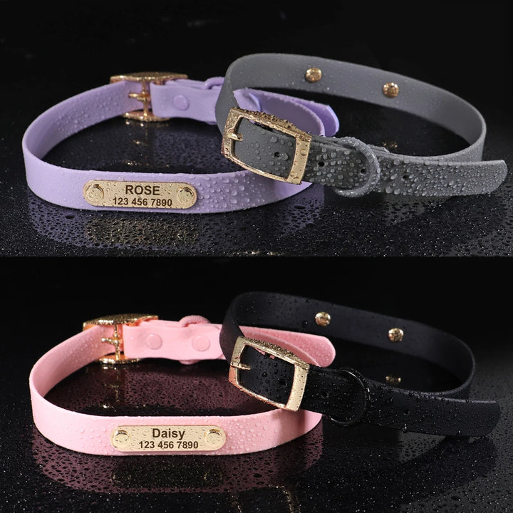 Customized Waterproof Dog ID Collar Leash Set