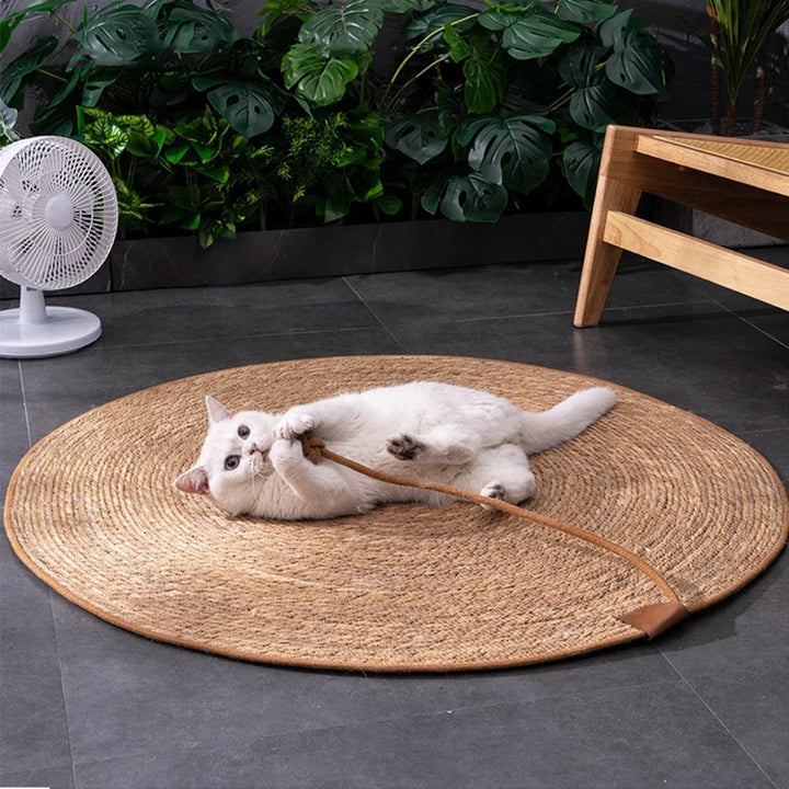 Cat Scratcher for Sharpen Nails - Rattan Mat Board