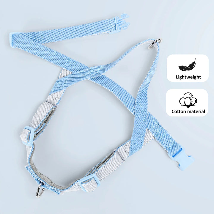 No Pull Dog Harness & Leash