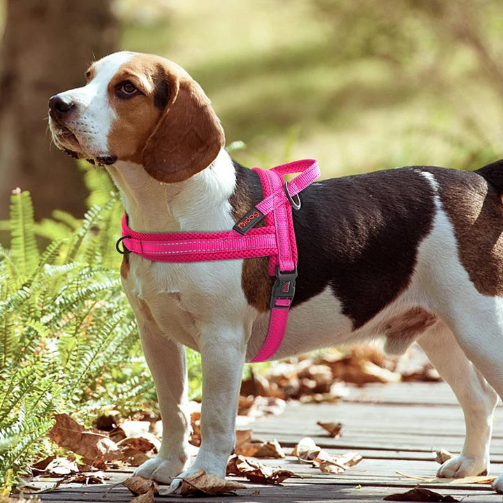 Nylon Reflective Dog Harness - No Pull