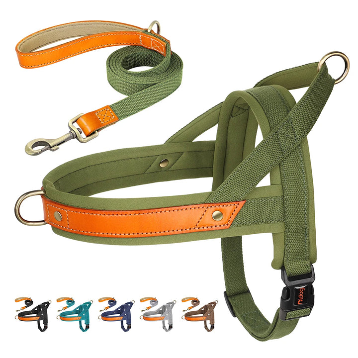 Nylon Leather Dog Harness Leash Set - No Pull