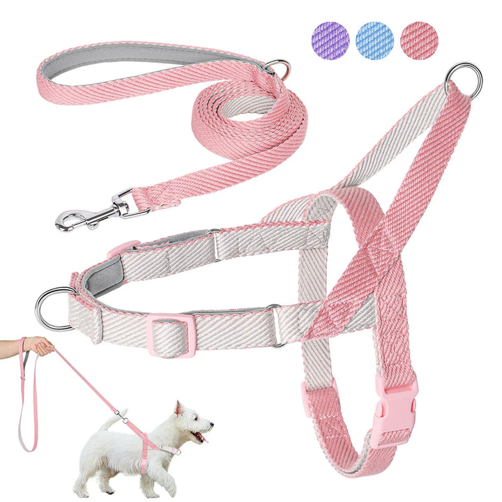 No Pull Dog Harness & Leash