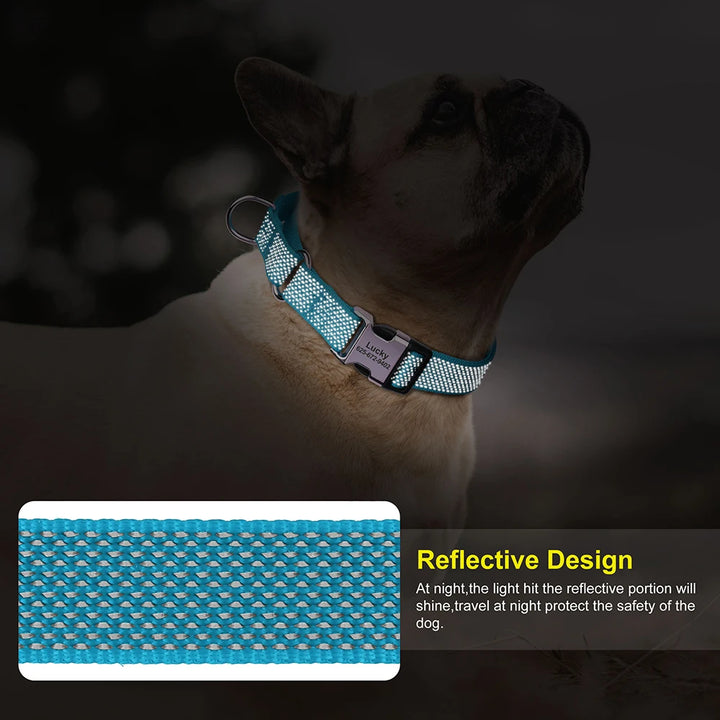 Reflective Nylon Dog Collar With Adjustable Handle