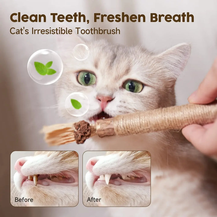 Cat Silvervine Chew Stick Natural Catnip Rope Toy