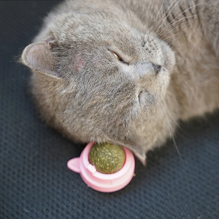 Cat Candy Licking Catnip Snacks